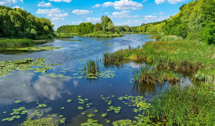 Hotel Ovit Keszthely - Termszetkzeli Majlis a Balaton s Hvz tallkozsnl (min. 3 j)