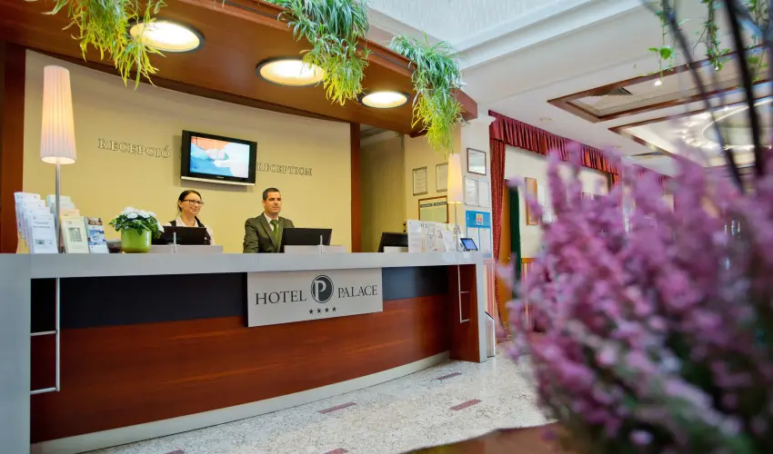 Palace Hotel  Hvz - Majlis 