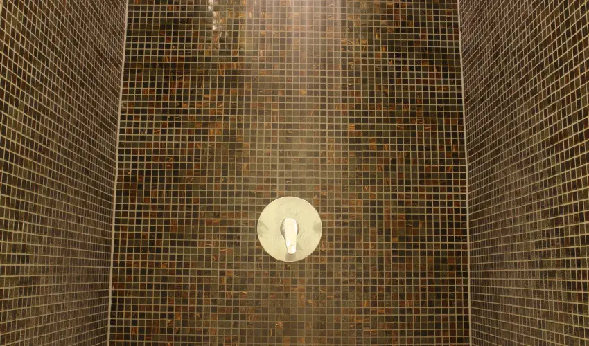 Palace Hotel  Hvz - Majlis 