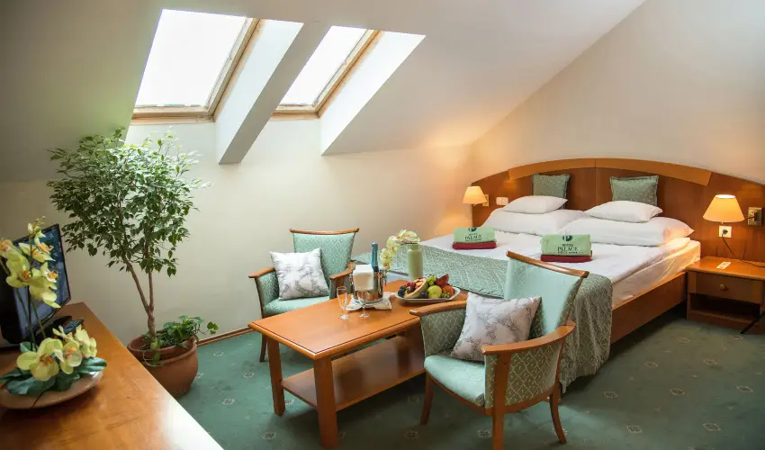 Palace Hotel  Hvz - Majlis 