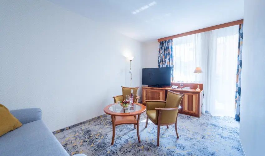 Palace Hotel  H�v�z - Maj�lis 