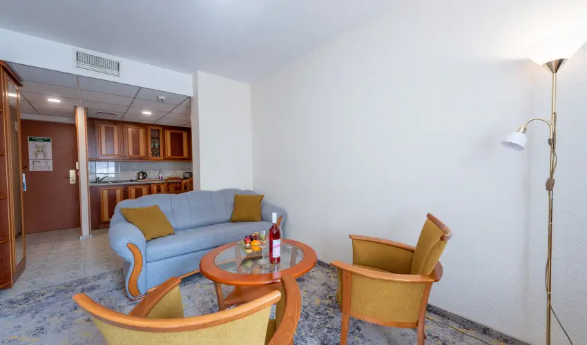 Palace Hotel  H�v�z - Maj�lis 