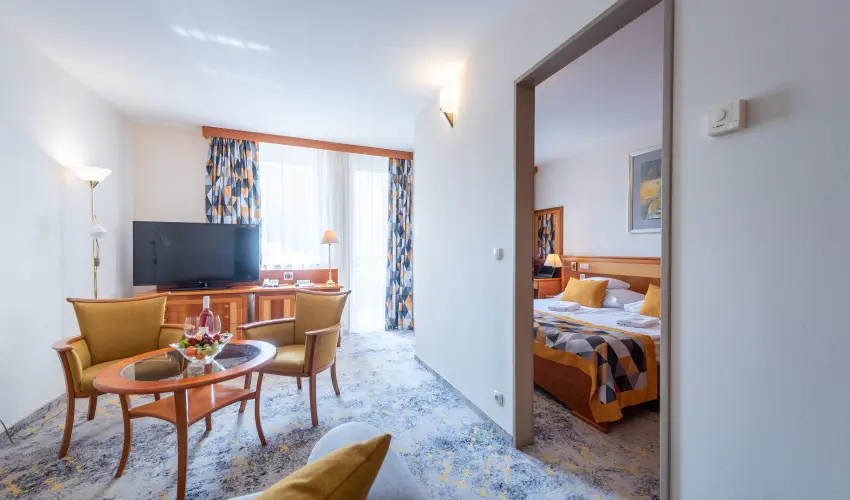 Palace Hotel  H�v�z - Maj�lis 