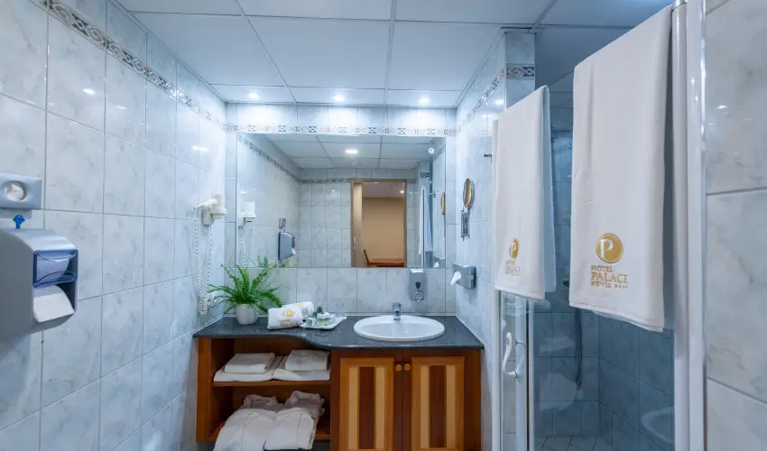 Palace Hotel  H�v�z - Maj�lis 