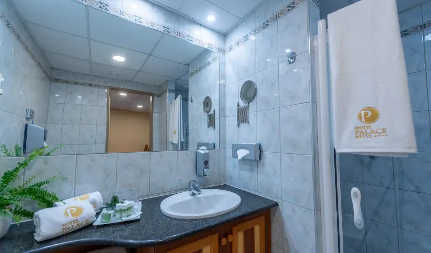 Palace Hotel  H�v�z - Maj�lis 