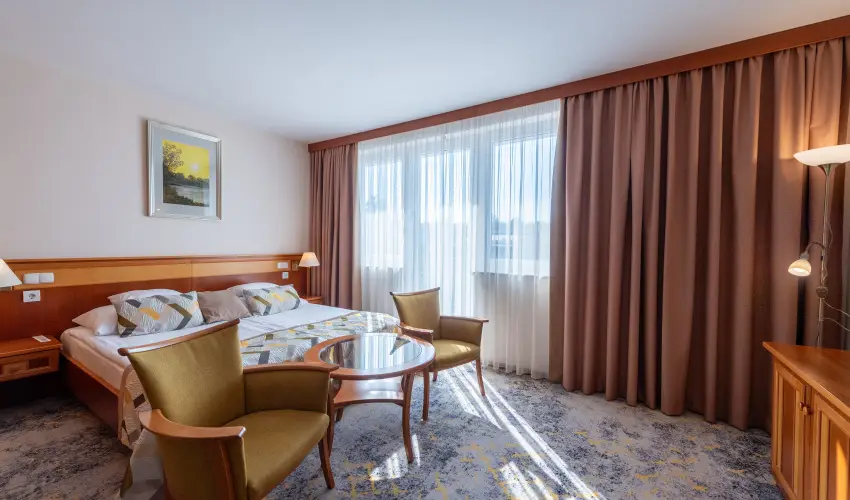 Palace Hotel  H�v�z - Maj�lis 