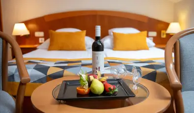 Palace Hotel  H�v�z