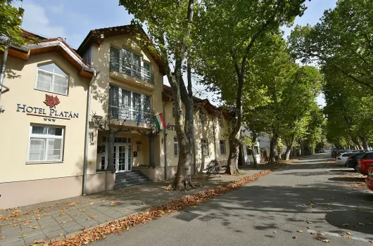 Hotel Platn Szkesfehrvr - Mjus 1.