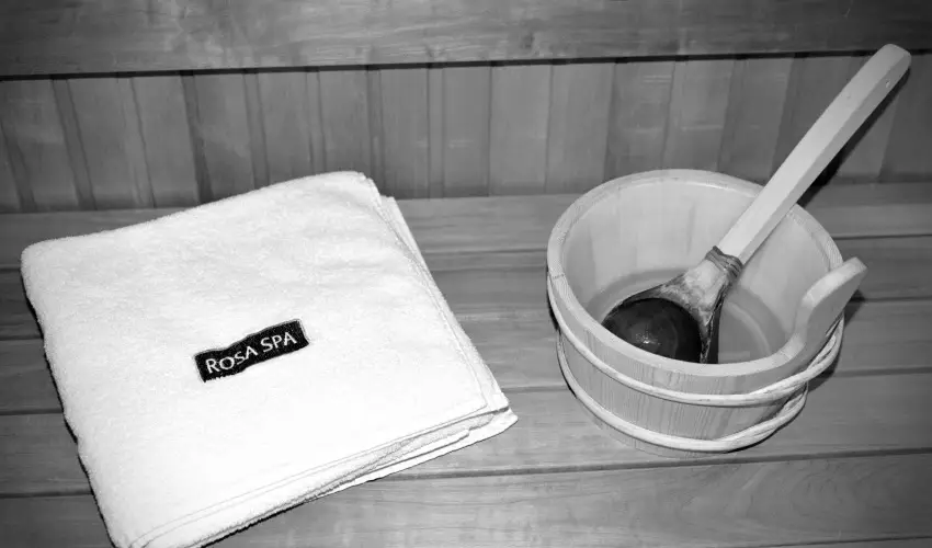 R�v�sz Hotel, �tterem & Rosa Spa Gy�r - M�jus 1. 