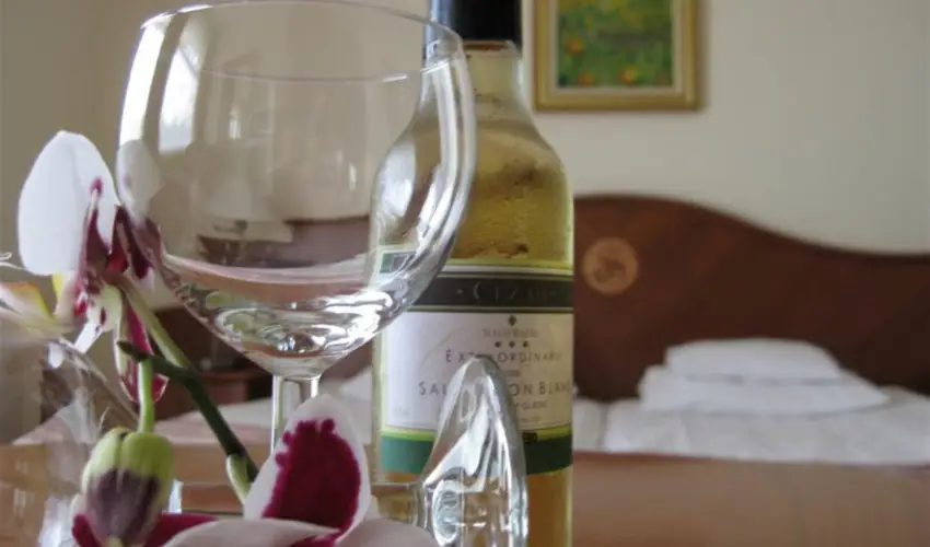 Sante Hvz Hvz - Mjus 1. (min. 2 j)