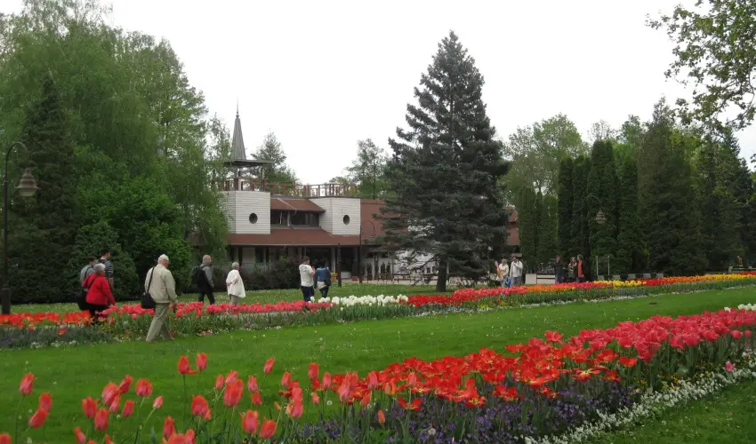 Sante Hvz Hvz - Mjus 1. (min. 2 j)