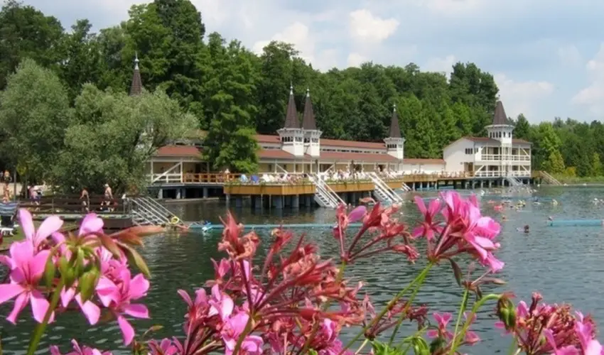 Sante Hvz Hvz - Mjus 1. (min. 2 j)