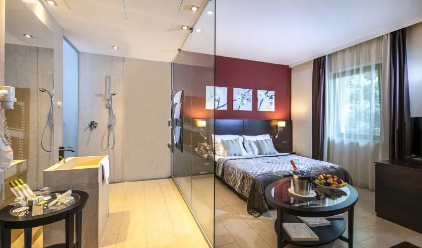 Hotel Stci Wellness & Konferencia Vecss - Mjus 1. (min. 2 j)