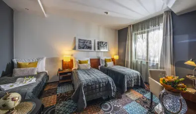 Hotel Stci Wellness & Konferencia Vecss