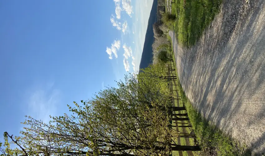 Hotel Szpalma Porva-Szpalmapuszta - Mjus 1.