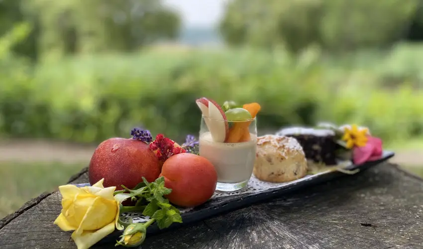 Hotel Szpalma Porva-Szpalmapuszta - Mjus 1.