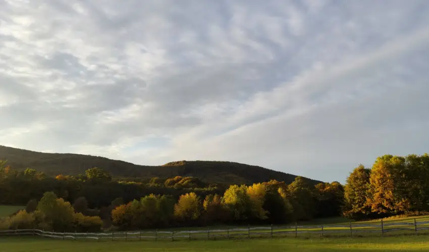 Hotel Sz�palma Porva-Sz�palmapuszta - M�jus 1.