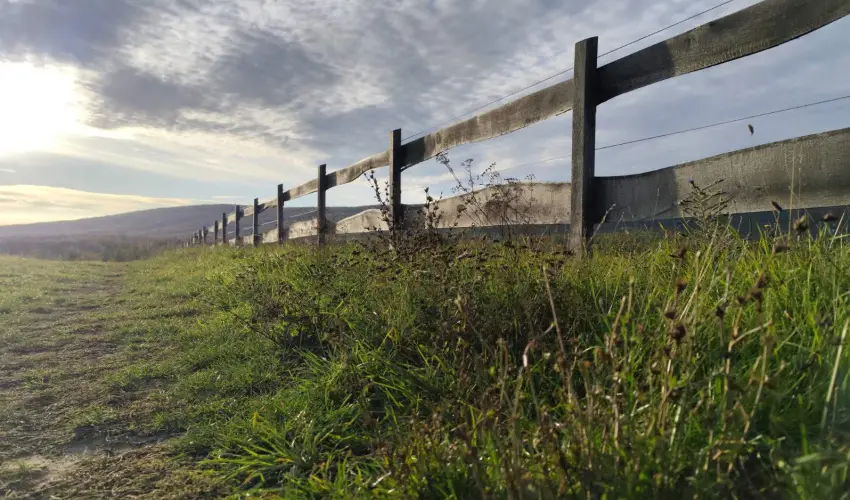 Hotel Sz�palma Porva-Sz�palmapuszta - M�jus 1.