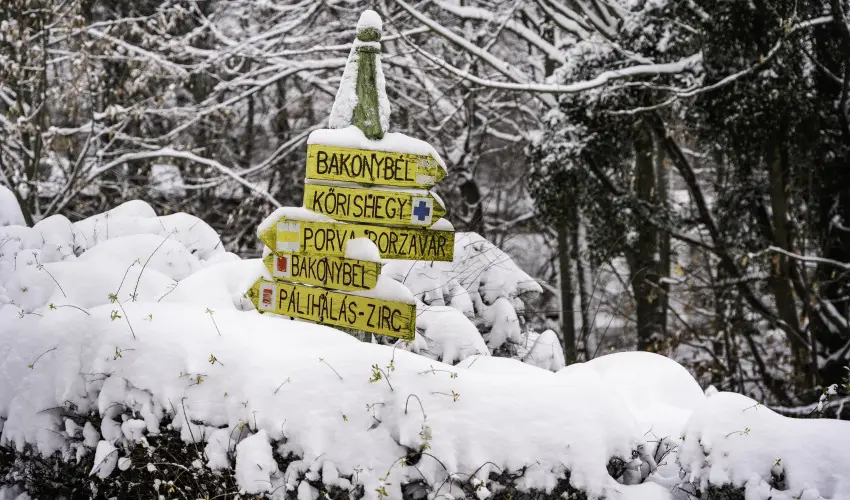 Hotel Sz�palma Porva-Sz�palmapuszta - M�jus 1.