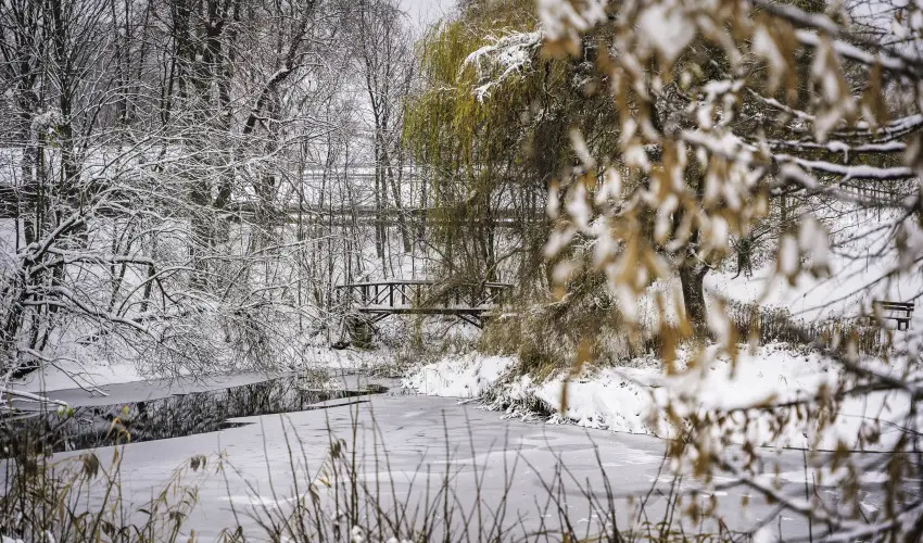 Hotel Sz�palma Porva-Sz�palmapuszta - M�jus 1.