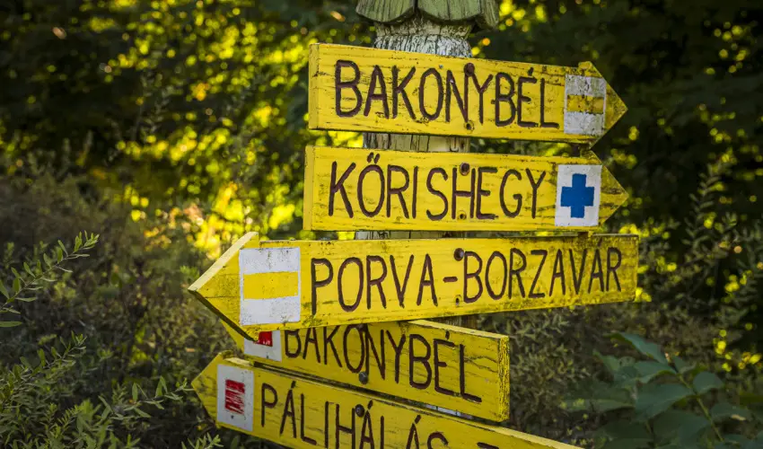 Hotel Sz�palma Porva-Sz�palmapuszta - M�jus 1.