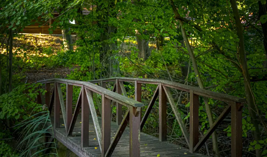 Hotel Sz�palma Porva-Sz�palmapuszta - M�jus 1.