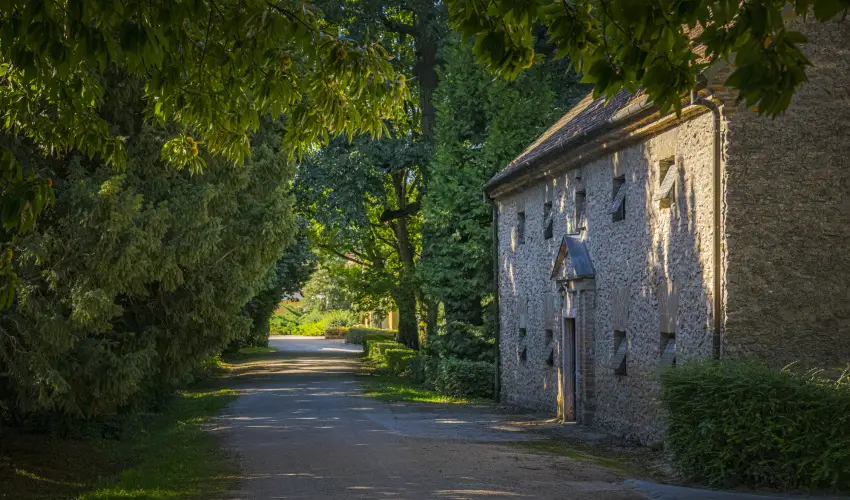 Hotel Sz�palma Porva-Sz�palmapuszta - M�jus 1.