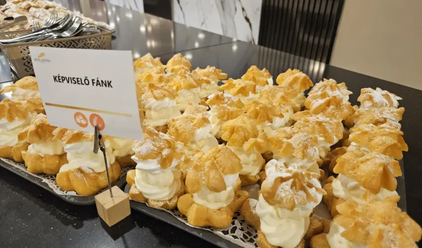 Hotel Szieszta Sopron - Mjus 1.