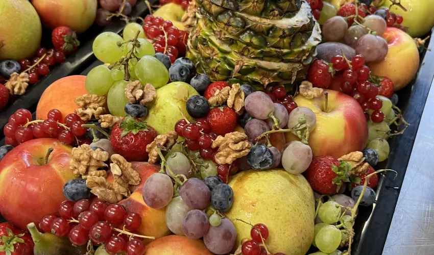 Hotel Szieszta Sopron - Mjus 1.