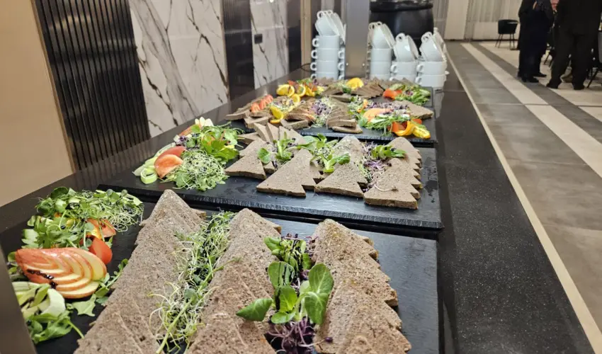 Hotel Szieszta Sopron - Mjus 1.