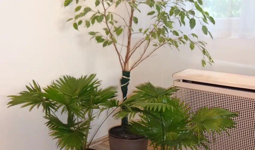 Hotel Touring Nagykanizsa - Mjus 1.