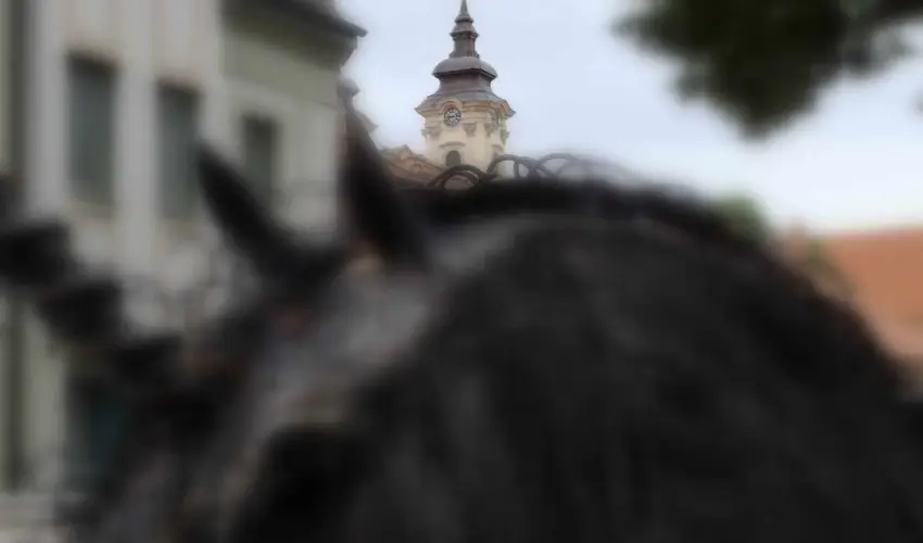 Hotel Unicornis Eger - M�jus 1.