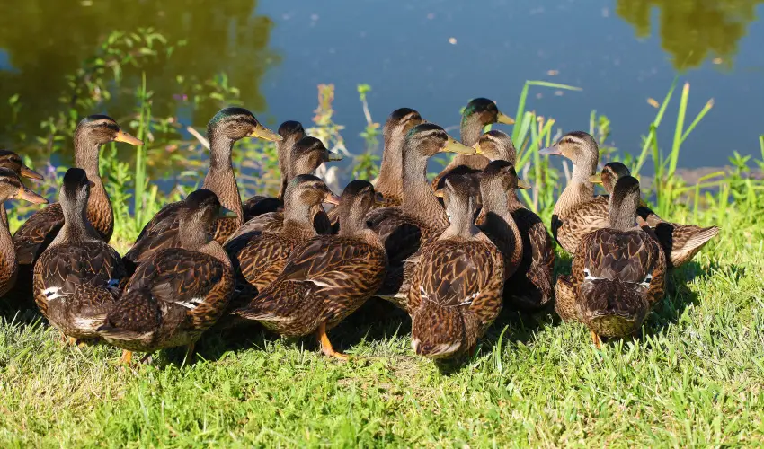 Terml Hotel Vesta Tpiszecs - Mjus 1. (min. 2 j)