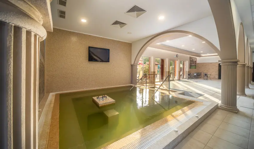 Terml Hotel Vesta Tpiszecs - Mjus 1. (min. 2 j)