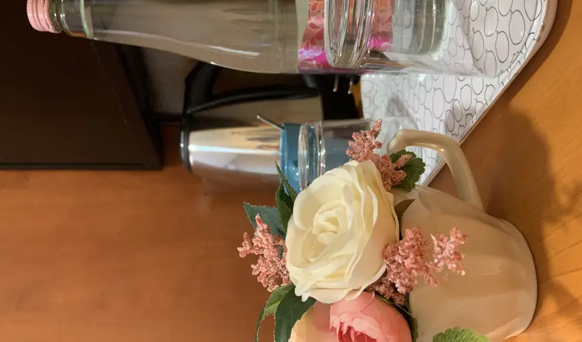 Term�l Hotel Vesta T�pi�szecs� - M�jus 1.