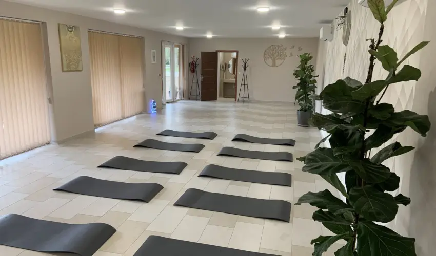 Term�l Hotel Vesta T�pi�szecs� - M�jus 1.