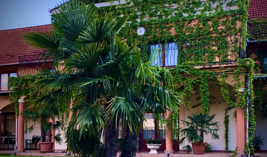 Hotel Vinum Wellness s Konferencia Hotel Kiskrs - Mjus 1.