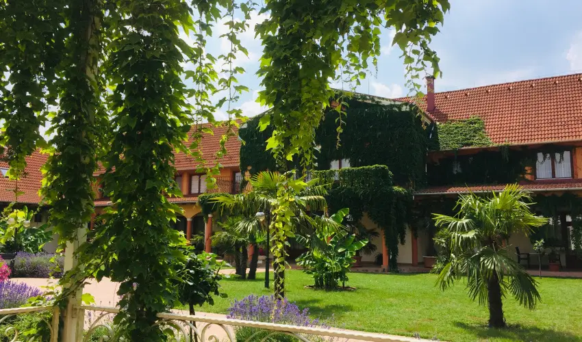 Hotel Vinum Wellness s Konferencia Hotel Kiskrs - Mjus 1.