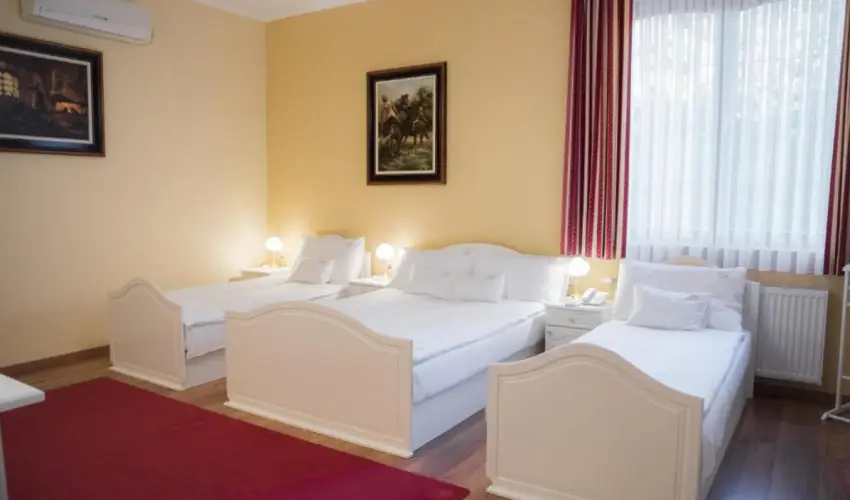 Hotel Vinum Wellness s Konferencia Hotel Kiskrs - Mjus 1.