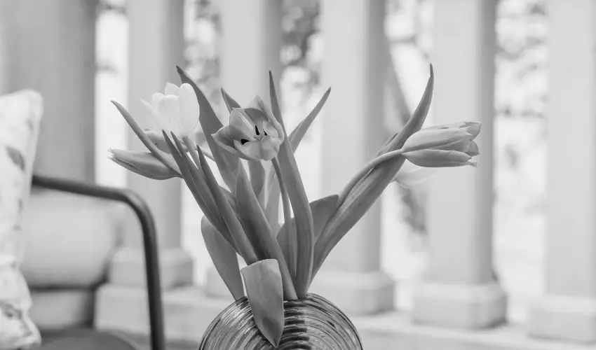 Hotel Anna Villa Balatonf�ldv�r - M�jus 1.