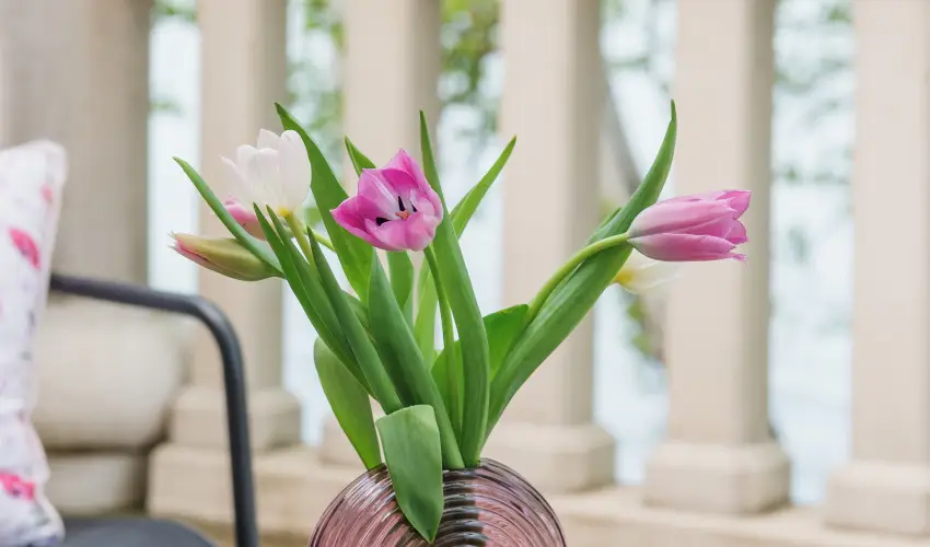 Hotel Anna Villa Balatonföldvár - Május 1.