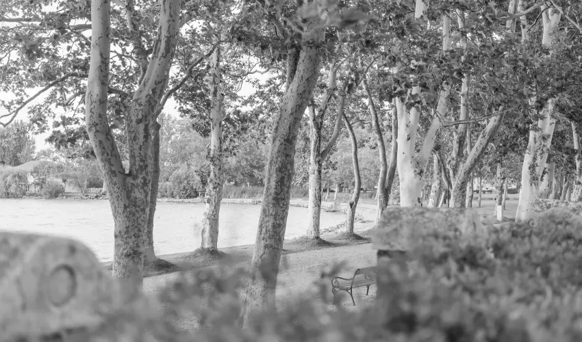 Hotel Anna Villa Balatonf�ldv�r - M�jus 1.