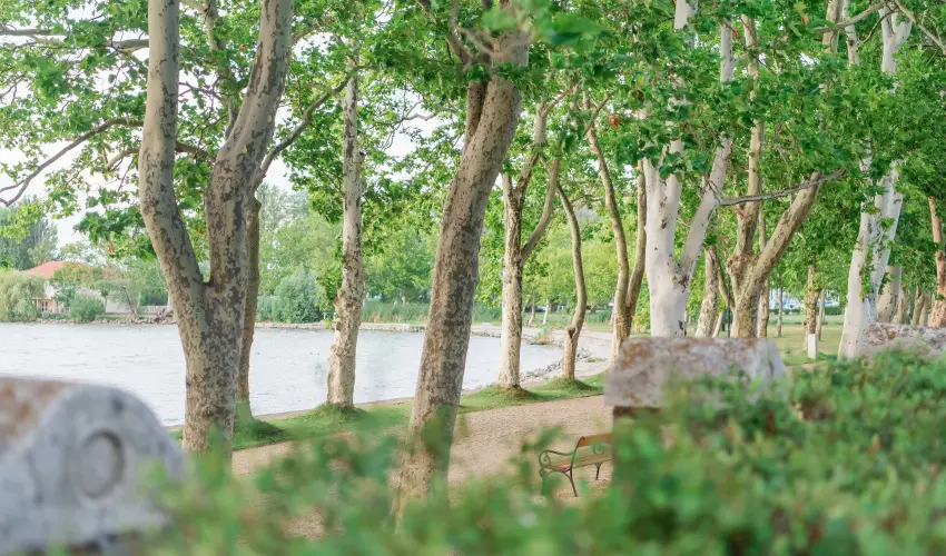 Hotel Anna Villa Balatonföldvár - Május 1.