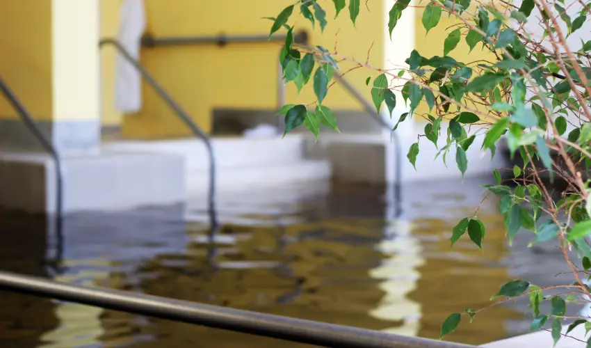 Hotel Hforrs Hajdszoboszl - Mjus 1. (min. 2 j)