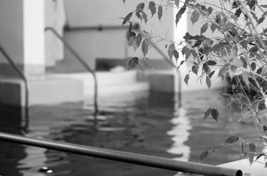 Hotel H�forr�s - M�jus 1. (min. 2 �j)