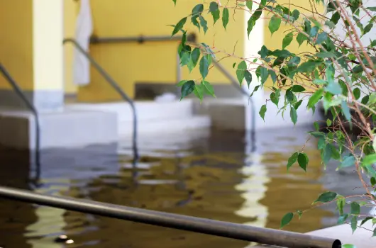 Hotel Hforrs - Mjus 1. (min. 2 j)