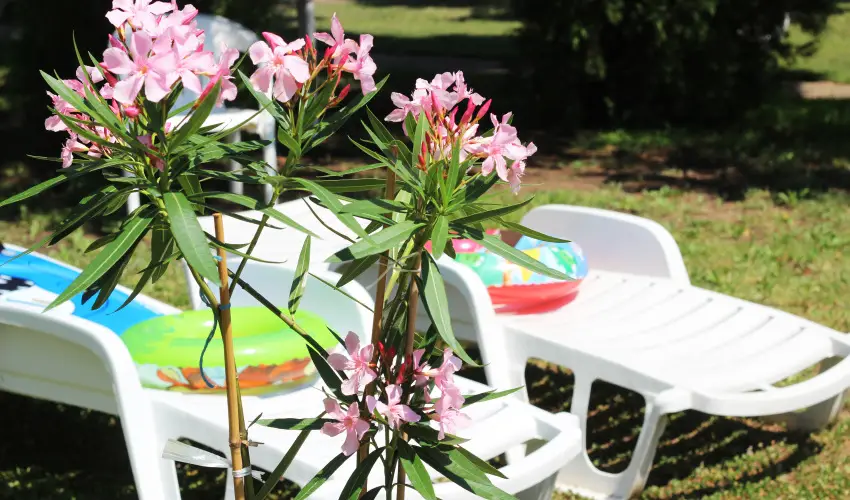 Hotel Hforrs Hajdszoboszl - Mjus 1. (min. 2 j)