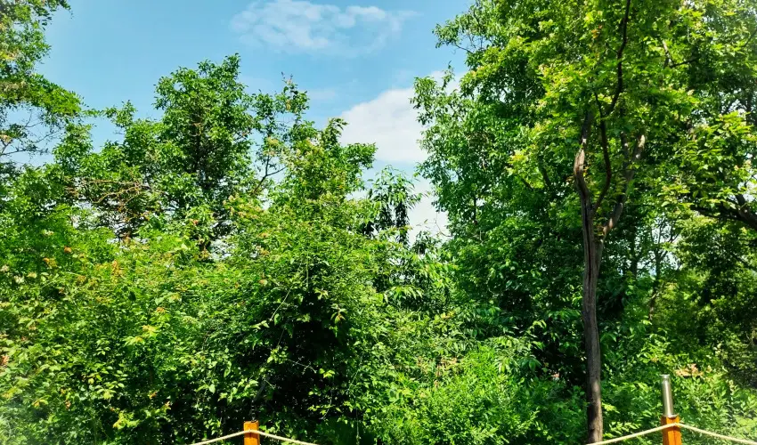 Hunor Vend�gh�z S�toralja�jhely - M�jus 1. (min. 2 �j)