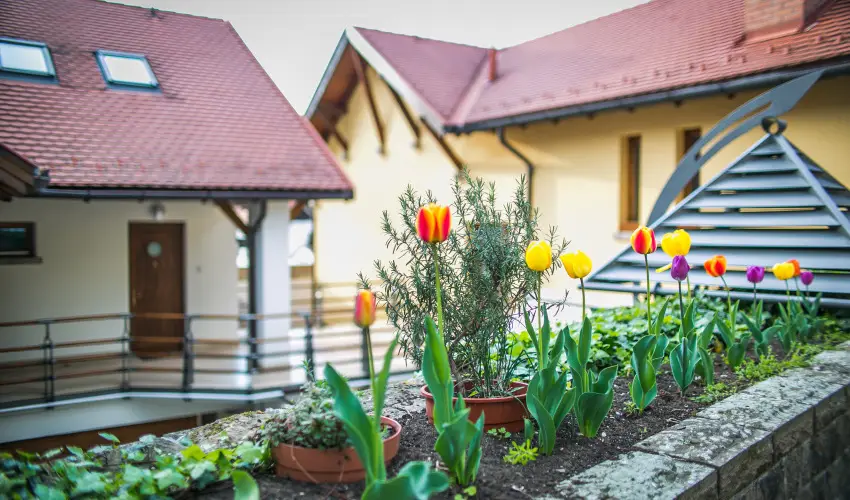 Imola Udvarhz Eger - Mjus 1. (min. 2 j)