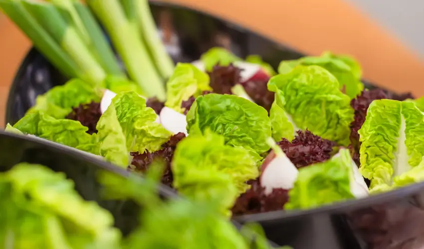 Impulso Fashion Hotel Budapest - Mjus 1. - teljes elrefizetssel